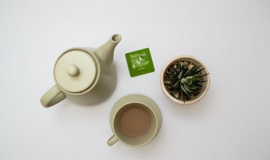 Let’s Dive Deep: Green Tea